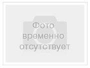 Костюм "Елка" 1 место "Красная шапочка" 2 место
